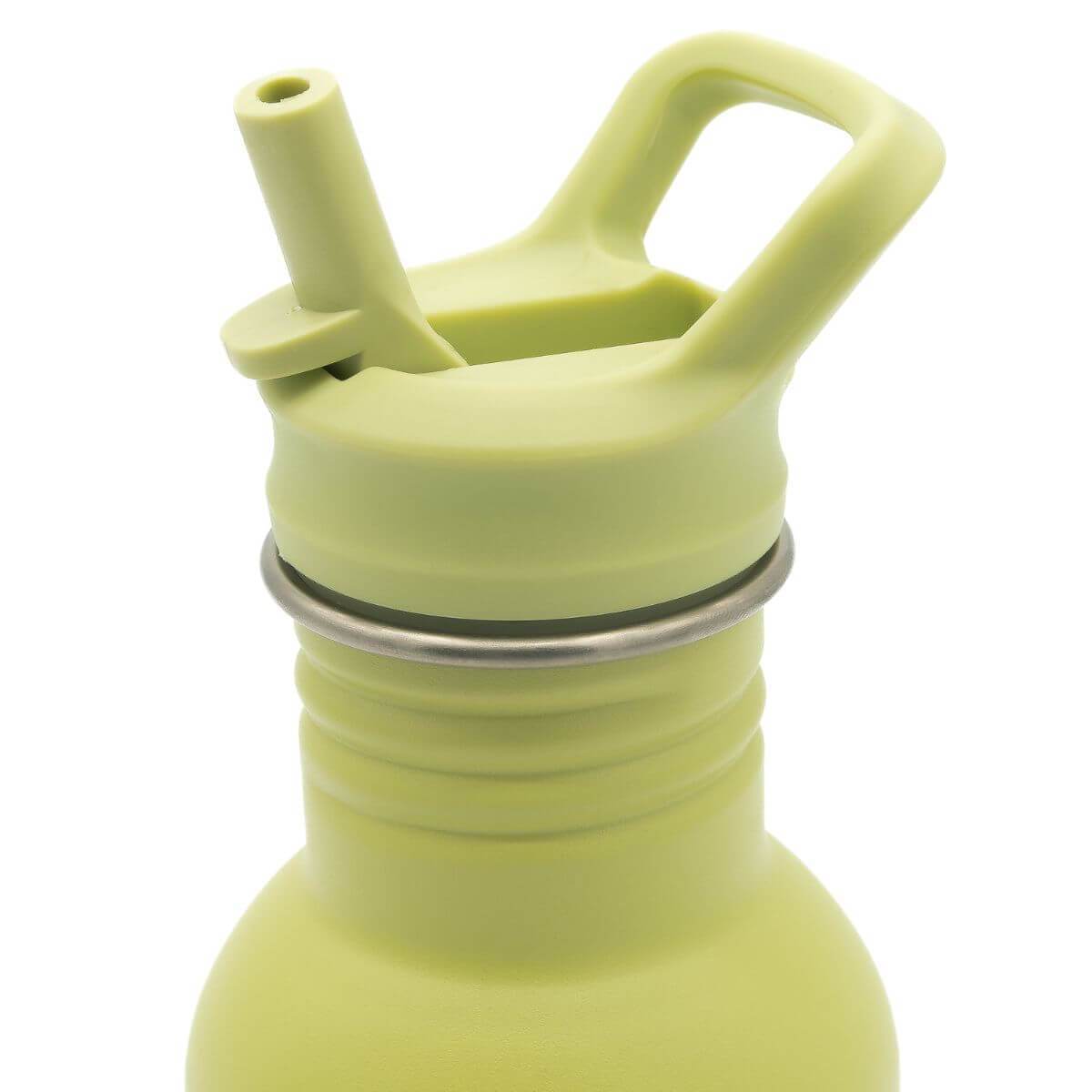 Ampolla inox. 500ml Dinosaure