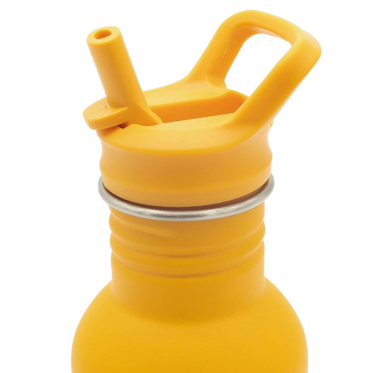 Ampolla inox. 500ml Lleó