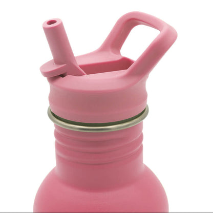 Ampolla inox. 500ml Conill