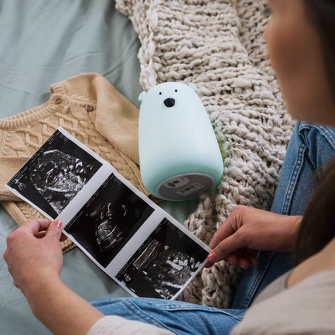 Llum de silicona Ós Blau