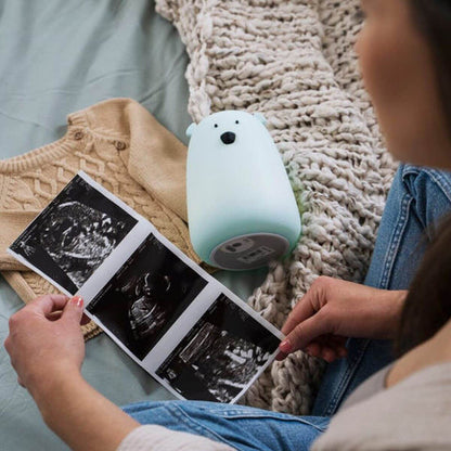 Llum de silicona Ós Blau