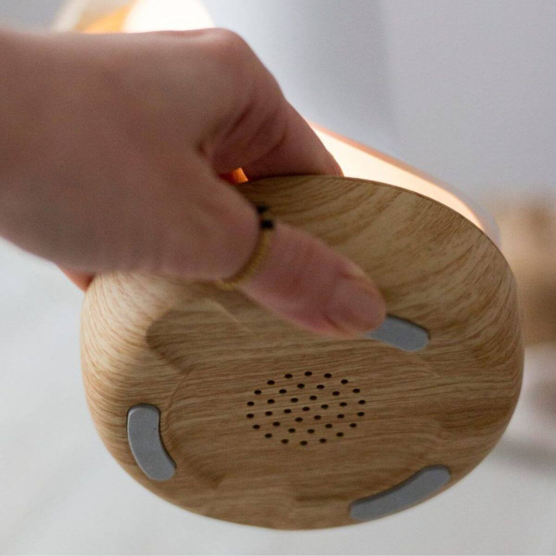 Llum Ocell Blanc amb altaveu