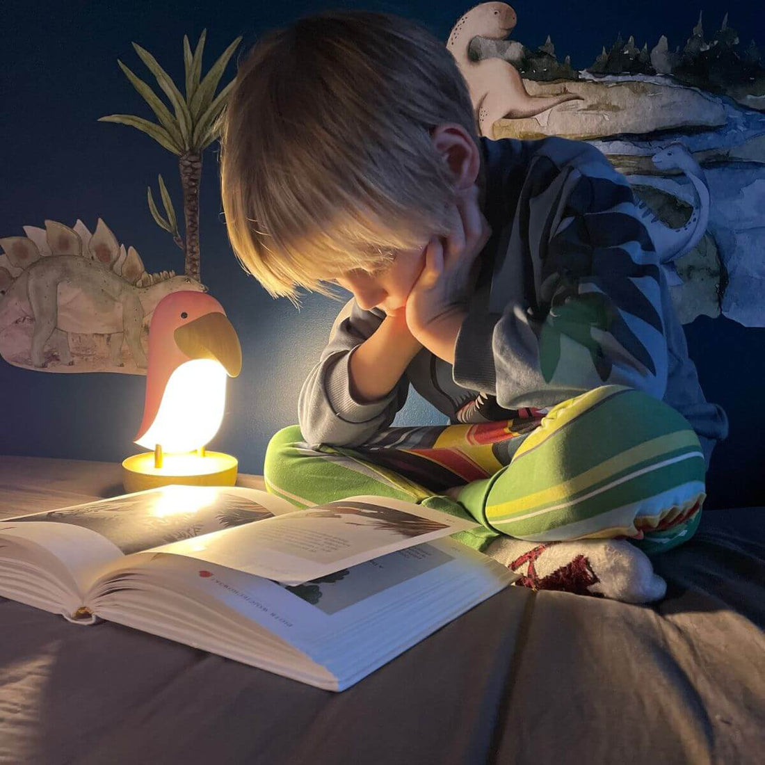 Llum Ocell Rosa amb altaveu