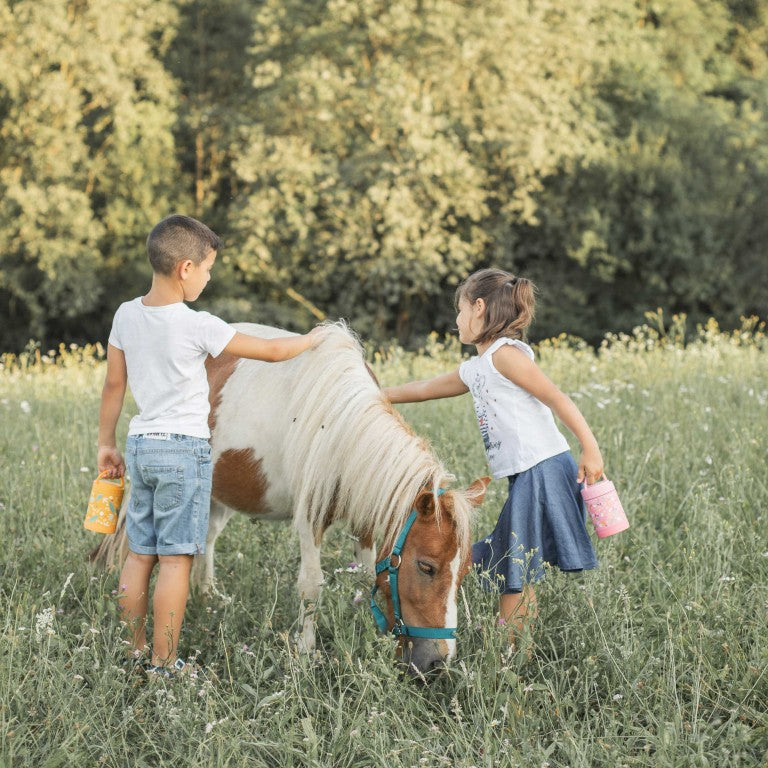 Termo de comida 350ml - Chompy el León