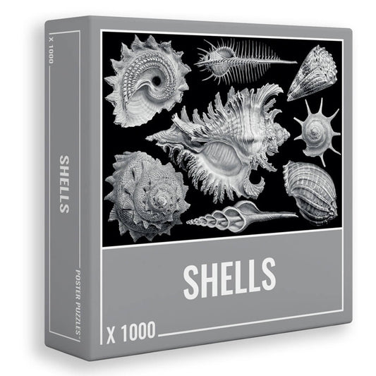 Puzzle Shells (1000 piezas) Cloudberries